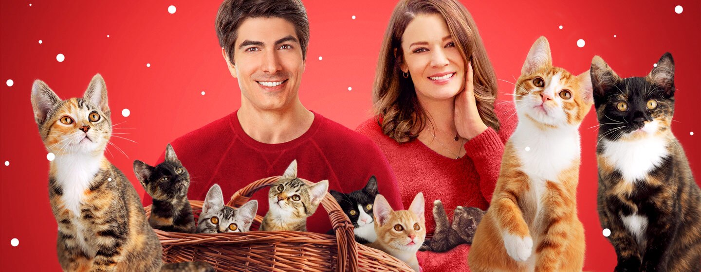 The nine kittens of christmas 