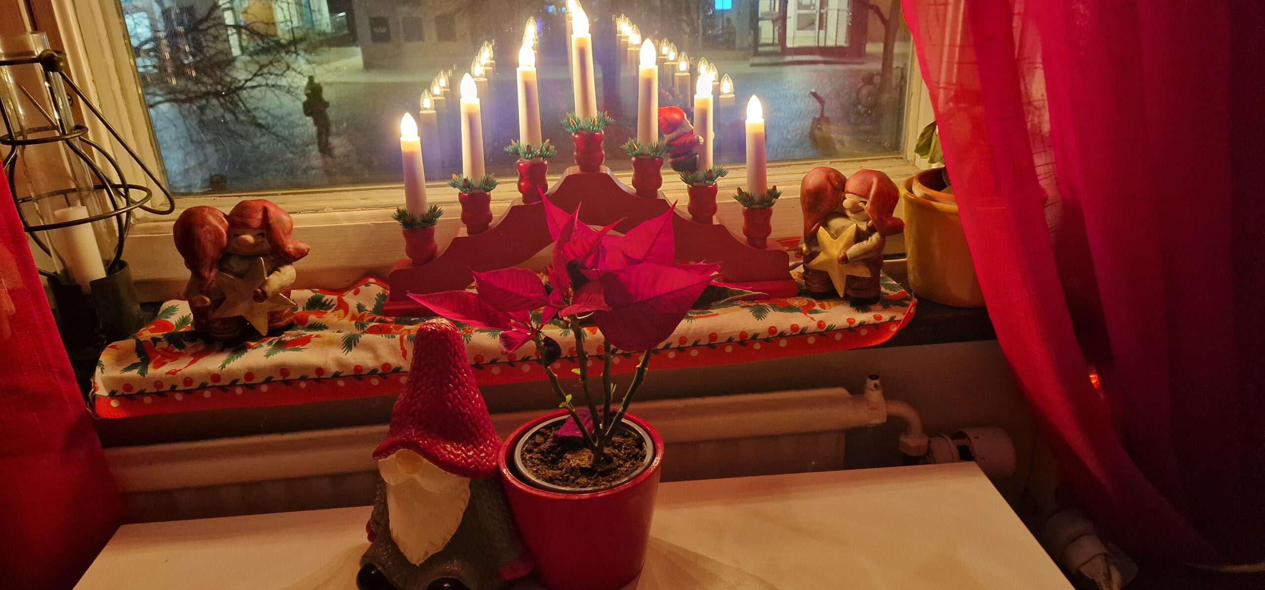 Julstjärnans dag 12 december