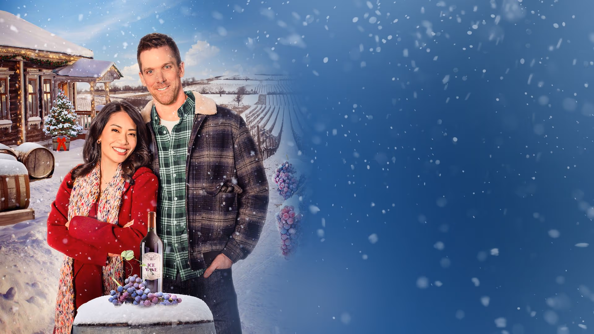 A Vineyard Christmas